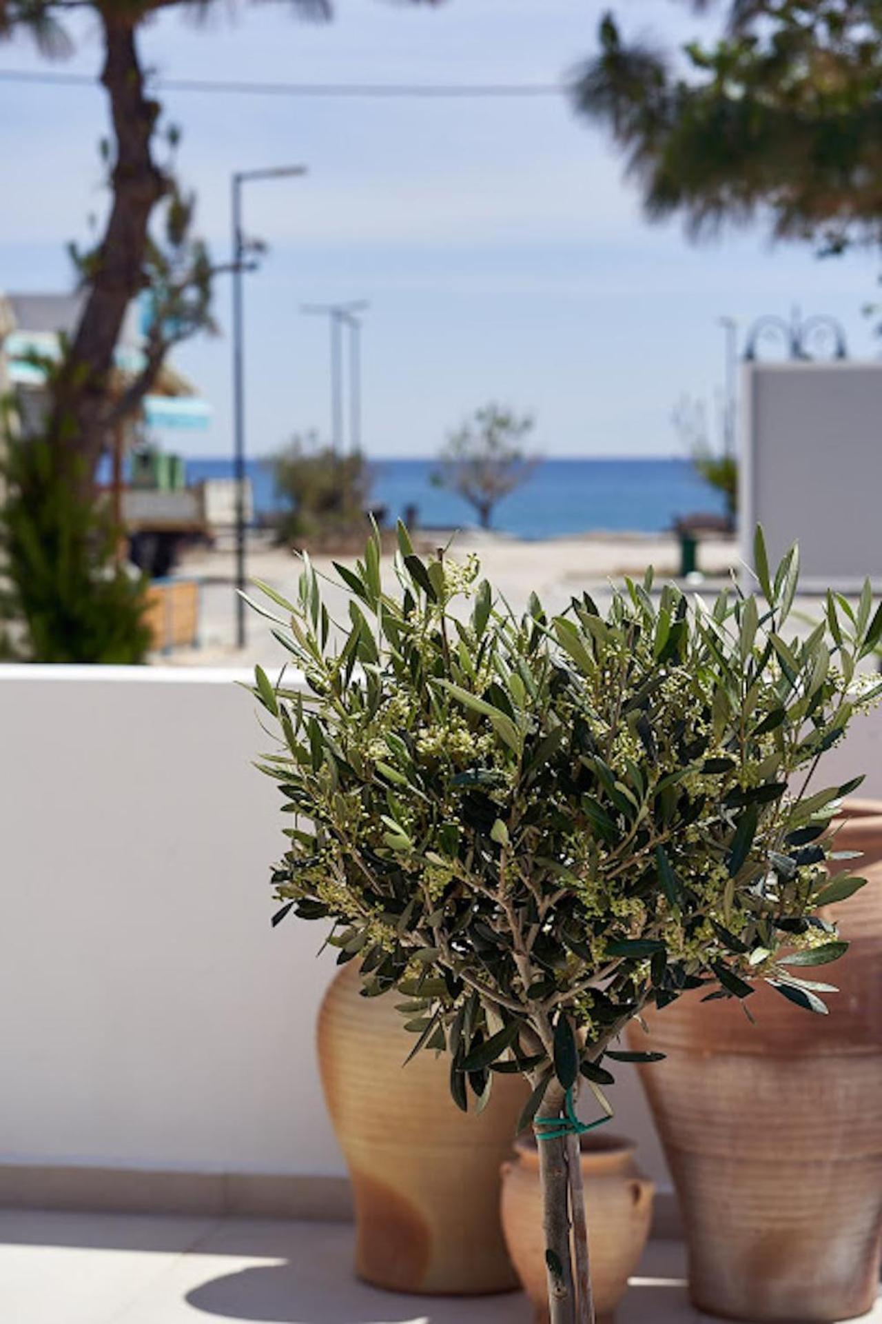 Sia Mare Seaside Apartments Faliraki Chambre photo